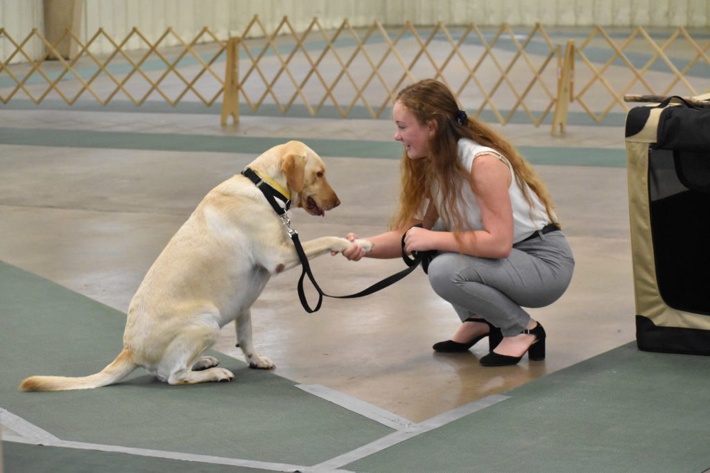 Texas State 4-H Dog Show